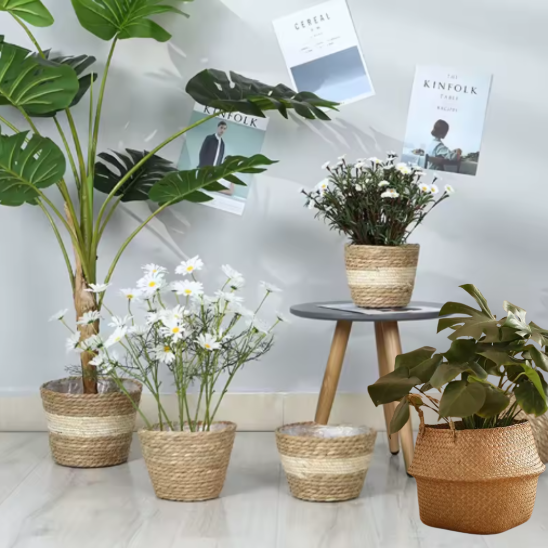 Essentiels — Paniers & Cache-pots | L’Olivade Studio